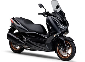 Xmax 300